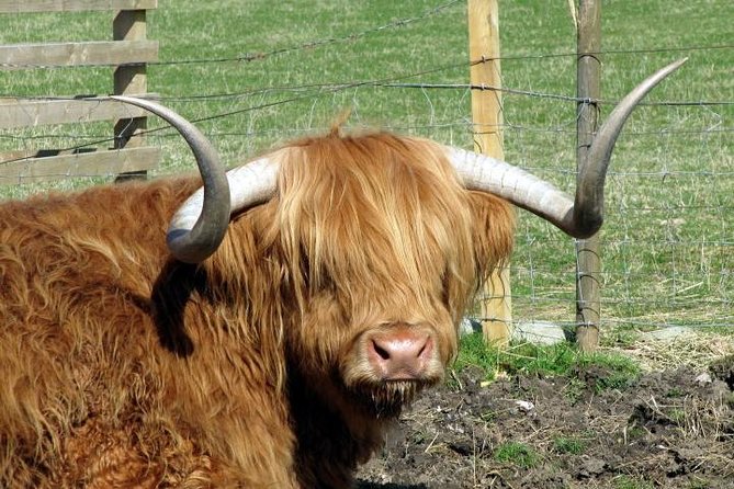 3-Day Isle of Skye and Highlands Tour from Glasgow - Day one: Loch Lomond, Luss, Glencoe, and mountain views