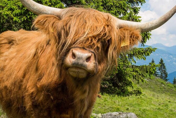 3 Day - Isle of Skye, Loch Ness & Glenfinnan Tour from Edinburgh - Why this three-day route works