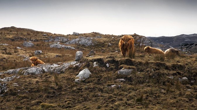 3-Day Lewis, Harris and the Outer Hebrides Small-Group Tour from Inverness - Why three days is the right length for Lewis and Harris