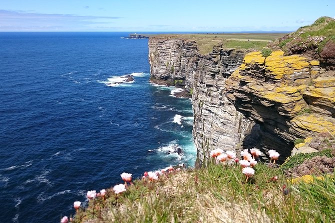 3-Day Orkney Islands Tour from Inverness - Guides, minibus size, and the value of local commentary