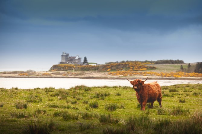 4-Day Magical Mull, Iona & West Highlands Small-Group Tour from Edinburgh - The guide makes a real difference
