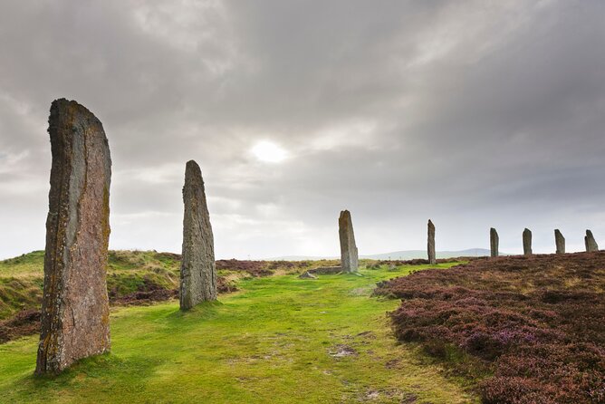 5 Days Orkney Islands & NC500 Tour from Glasgow - Day 1: Cairngorm forests, Culloden, and Inverness