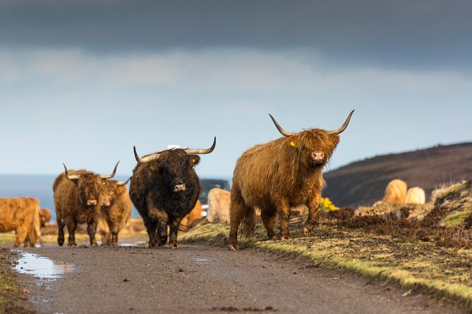 8 Day Isle of Skye, Orkney & North Coast 500 tour from Edinburgh - Day 2: Dunrobin Castle and the northern road