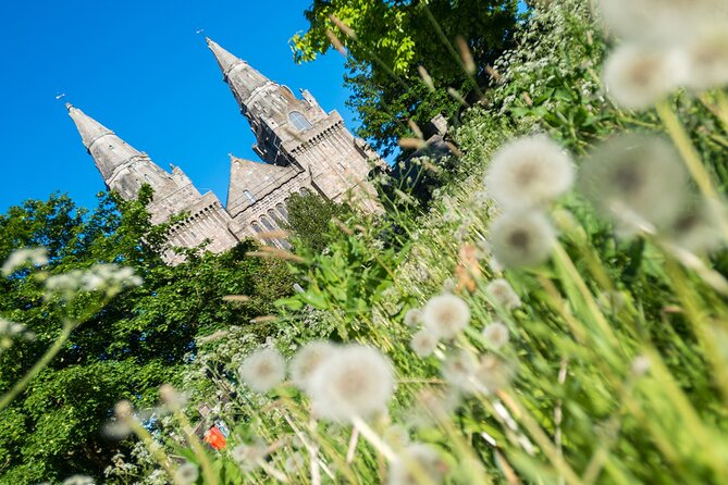 Aberdeen Historical Walking Tour - Weather, timing, and practical details