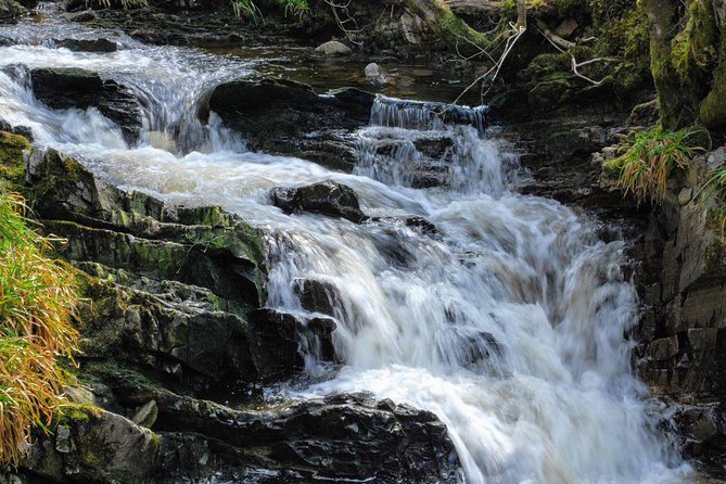Alternative Loch Ness Tour by Secret Highlands - Timing, food, and practical planning