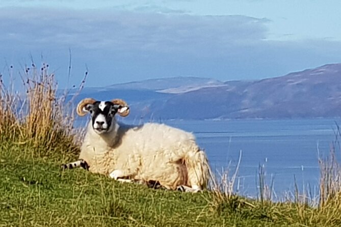 Bespoke Private Tours of Scotland and the Borders - Who should book this Highlands experience?