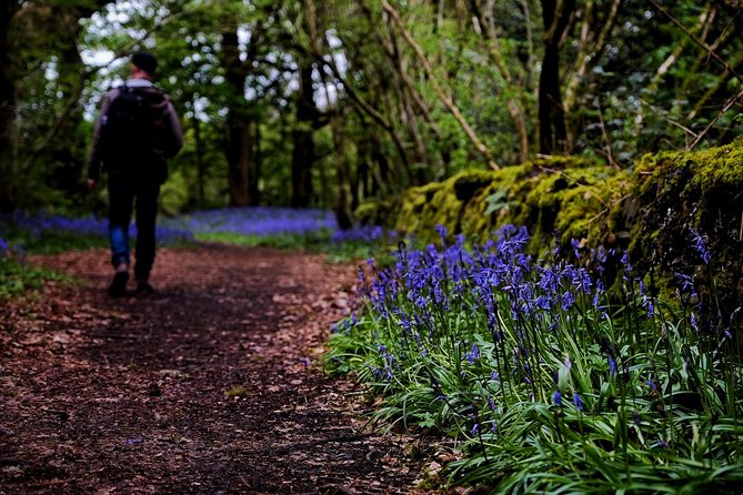 Central Scotland Driving Tour - Stirlingshire (Private) - Culross, cobbled streets, and Outlander connections