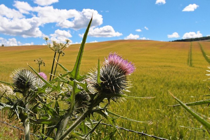 Cycle To Loch Ness - Self Guided - The return route tests your planning