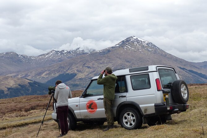 Discovery Wildlife Safari - Into the Trossachs from Lochearnhead