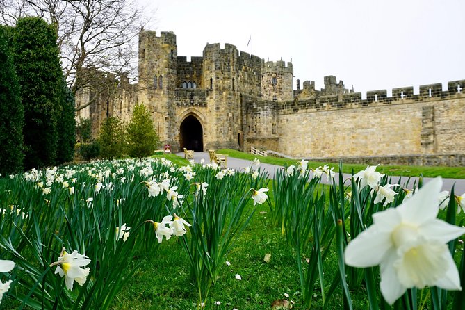 Edinburgh: Holy Island, Alnwick Castle & Kingdom of Northumbria - Is $87.34 good value?