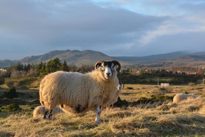 Edinburgh: Loch Ness, Inverness & The Highlands - 2 Day Tour - The key things to know before booking