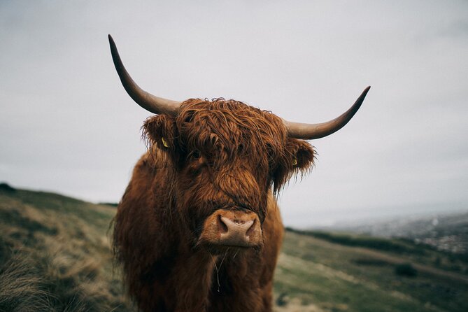 Executive Scottish Lowlands Tour - Dunfermline Abbey adds royal connections