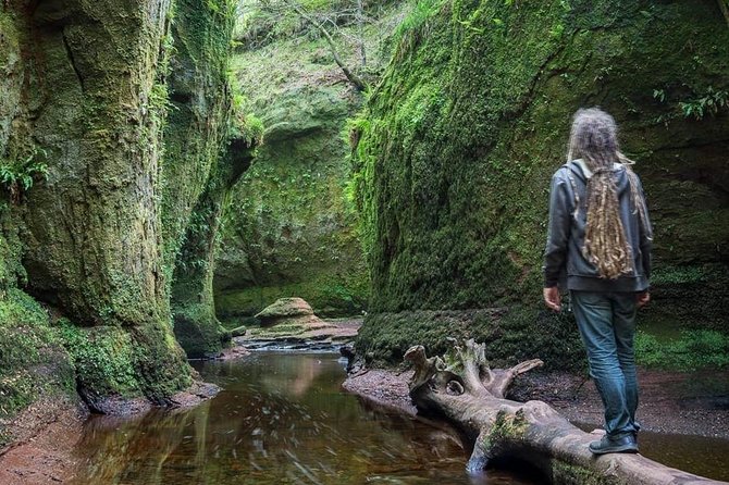 Find a hidden Glen in Scotland's woods - The forest walk to the Devil’s Pulpit