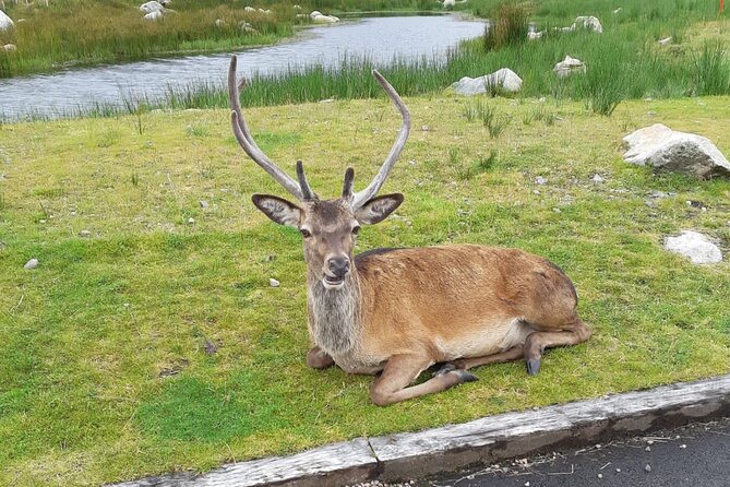 Fort William and Glencoe - Loch Ness begins the morning