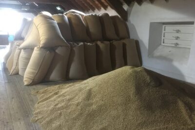 Full-Day Private Speyside Malt Whisky Trail Tour from Grantown-on-Spey
