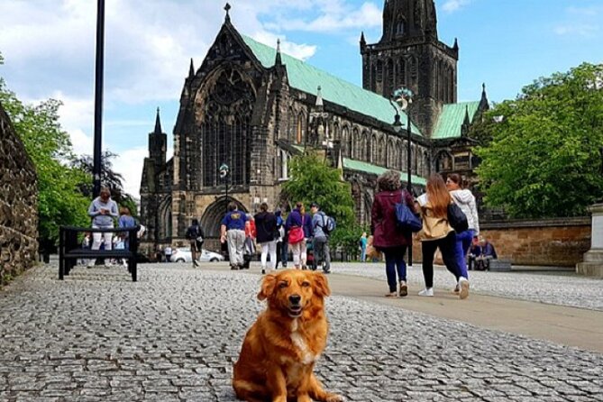 Gander Walking Tours in Glasgow - Why this walk works as a first look at Glasgow
