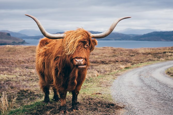 Glasgow: Isle of Skye, The Highlands and Loch Ness - 3 Day Tour - Skye’s northern cliffs and rock formations