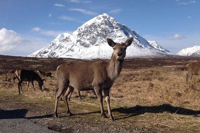 Glasgow: Loch Ness, Glencoe, and the Highlands Day Tour - Ben Nevis is a drive-by landmark, not a climb