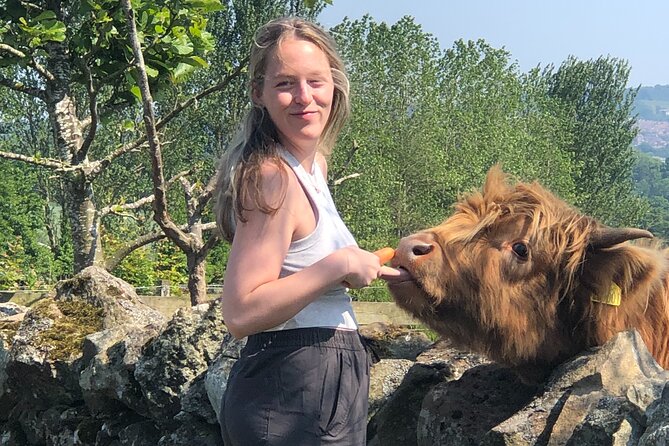 Highland Cows, Walk Alpacas & Scottish Wildlife Centre from Edin. - Price, group size, and what you receive