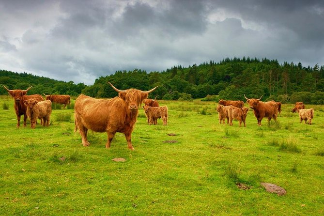 Highlights of Scotland Custom Private Tour from Edinburgh - Deanston Distillery adds a working whisky stop