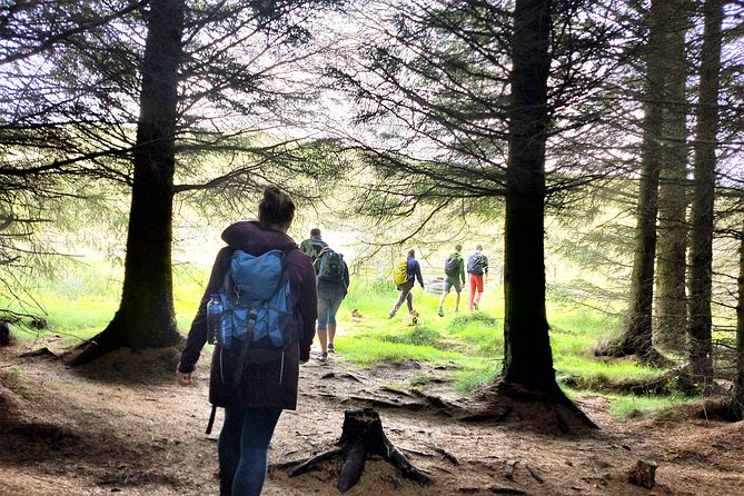 Hill & Nature Hike - Discover Real Edinburgh With a Local Expert - Highland cows, sheep, deer, and lochs