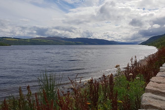 Invergordon Port Loch Ness Tour - Highland Cows at Robertson’s Farm Shop