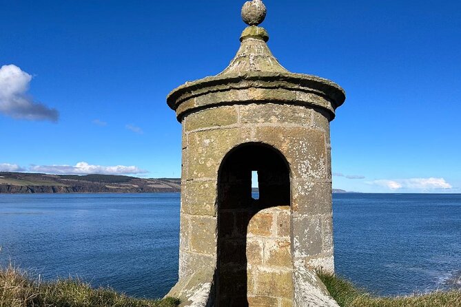 Invergordon Private Tour: Fort George, Cawdor Castle & Loch Ness - Highland cows bring a playful finish