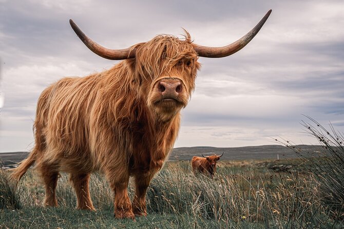 Isle of Skye Day Tour from Fort William - Why this Fort William to Skye day works