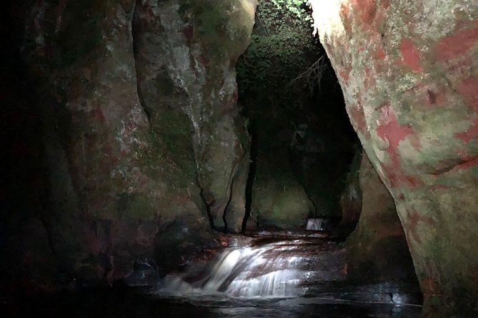 Join the Dark Side of Magical Nature - Why the small group changes the night