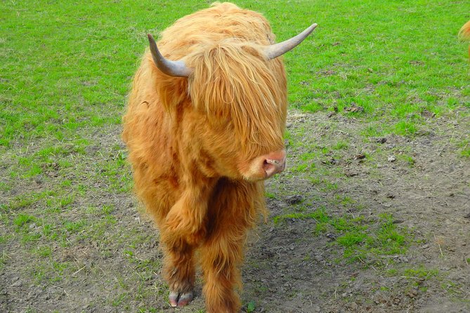 Loch Ness & Culloden Battlefield Private Tour from Inverness - Beauly lunch and the medieval burgh