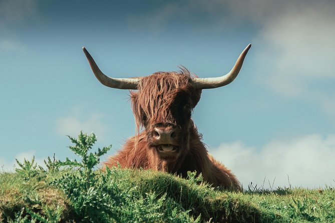 Loch Ness, Glen Coe & The Highlands Day Tour from Edinburgh - Glencoe: powerful scenery, limited time