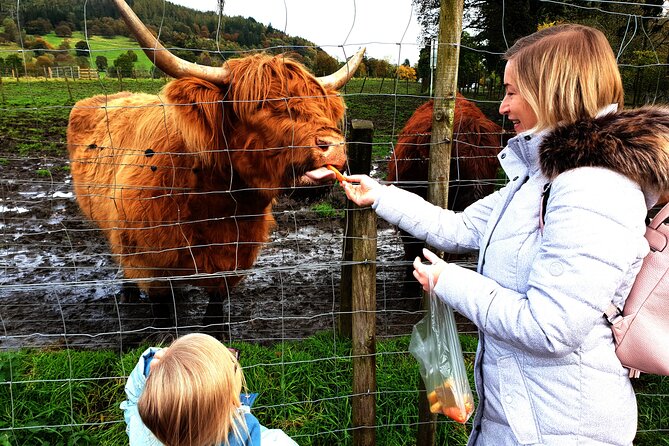 Loch Ness, Glencoe and the Highlands Private Day Tour - What this private Highlands day is really like