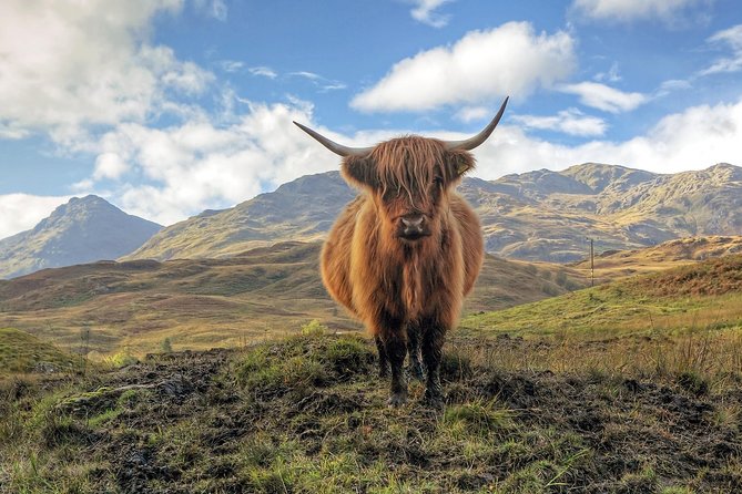 Loch Ness, Glencoe & the Highlands Guided Day Tour from Edinburgh - Fort William, Loch Linnhe, and Ben Nevis