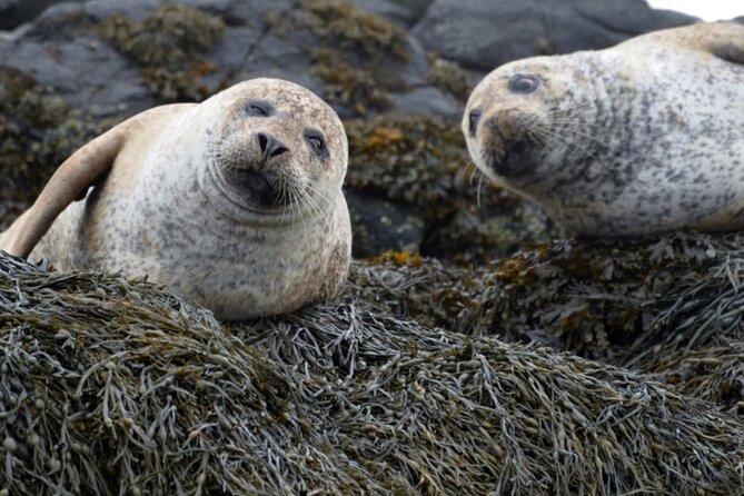 Over The Sea to (secret) Skye - Isle Ornsay and the Gaelic heart of Sleat