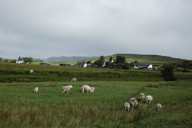 Private Full-Day Tour to the Scottish Highlands and Loch Ness - Why this private Highlands day works