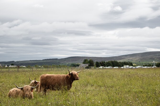 Private Full-Day Tour to the Scottish Highlands and Loch Ness - Abbey stops require a little clarification