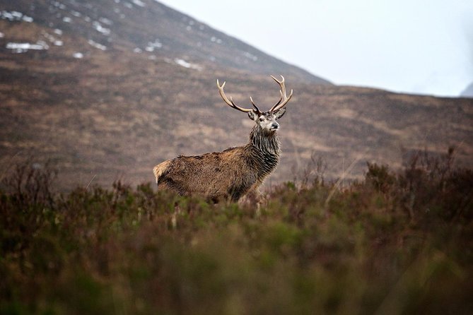 Private Glencoe Driving Tour from Edinburgh - From Edinburgh to Loch Lubnaig