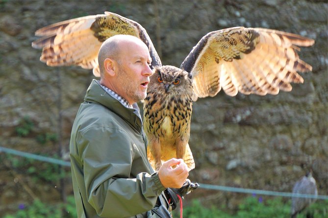 Private Luxury North Route Invergordon Shore Excursion - Dunrobin Castle, gardens, and falconry