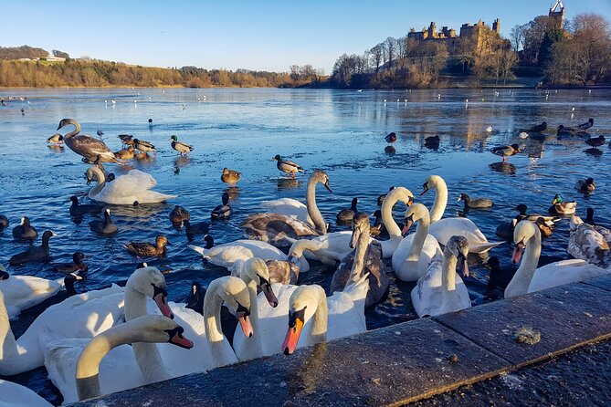 Private Luxury Tour of Loch Lomond, Glencoe & The Highlands - Castle Stalker is a quick but memorable waterside stop