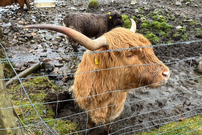 Private Scottish Highlands and Loch Ness Tour from Edinburgh - Leaving Edinburgh for the Kelpies and Stirling