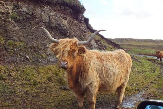 Scotland Tours - What the vehicle extras are really worth