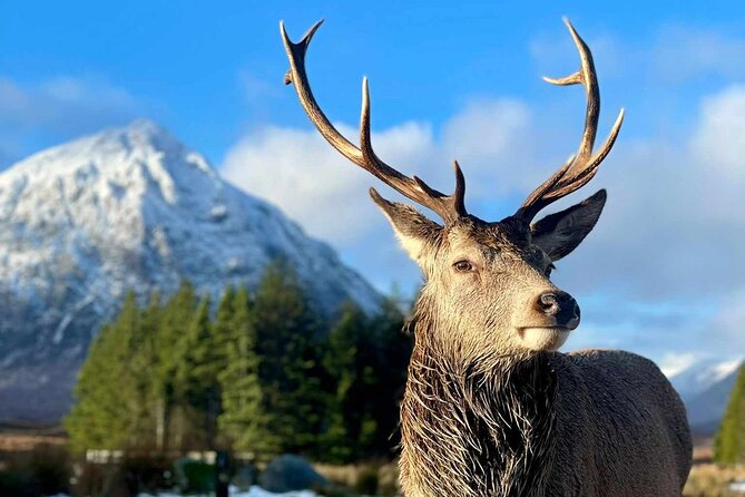Scottish Highlands, Loch Ness and Glencoe Day Trip from Edinburgh - Through the Cairngorms by panoramic coach