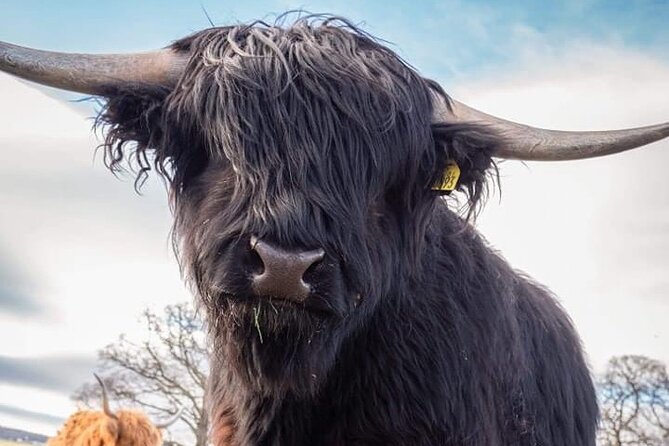 Secret Loch Ness, Inverness Castle visit, Culloden, Clava Cairns - Culloden Battlefield puts the story first