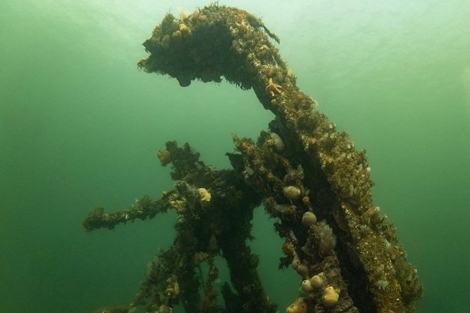 Shipwreck Hunters - Seeing the Captayannis from the water