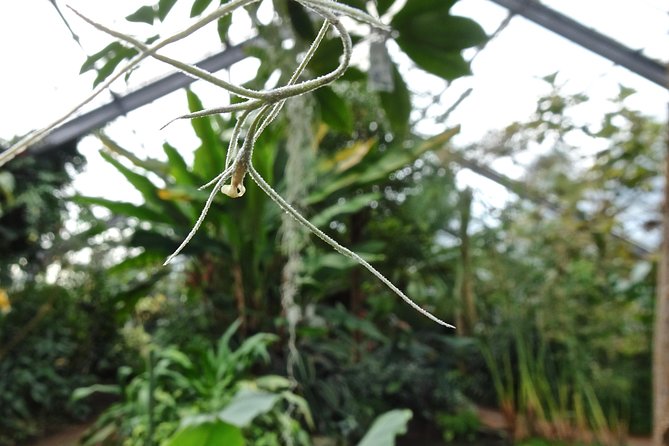 Skip-the-Line: Botanic Garden Entry Ticket - A botanic garden built for wandering
