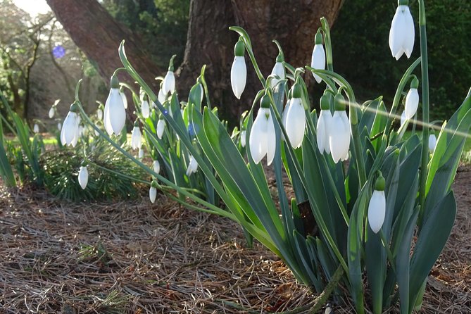 Skip-the-Line: Botanic Garden Entry Ticket - A good choice for children