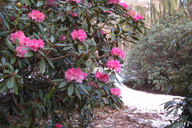 Skip-the-Line: Botanic Garden Entry Ticket - Getting there and handling the entrance