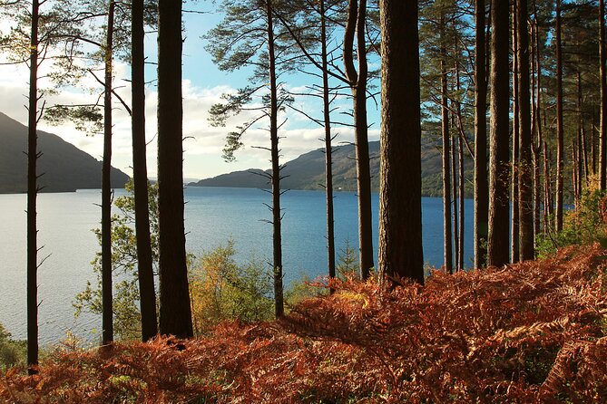 Stirling Castle, Loch Lomond and Cruise Day Tour from Glasgow - Through Doune, Callander, and the Trossachs
