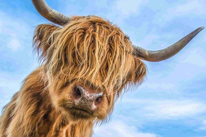 Stirling Castle Loch Lomond and Trossachs National Park day tour - A full Scottish day without a fixed coach script