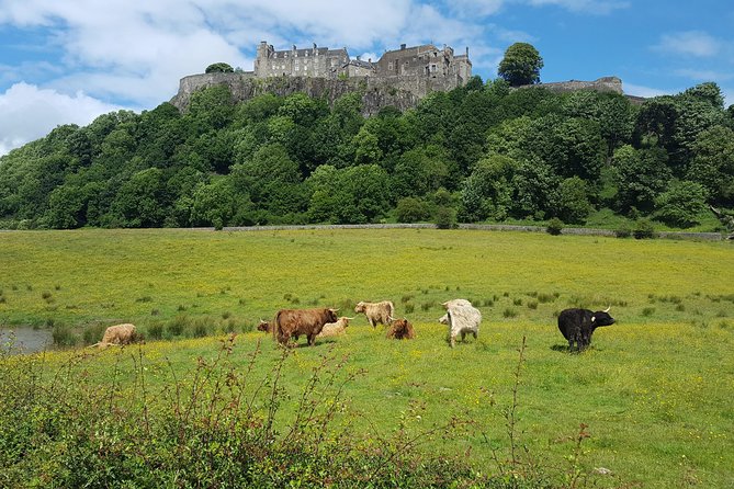 Stirling Castle, Trossachs, Loch Lomond and Whisky Tour - Loch Lubnaig and the Trossachs in five minutes